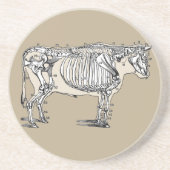 Antiker Kuh Skeleton Knochen Spaß Sandstein Untersetzer (Vorne)