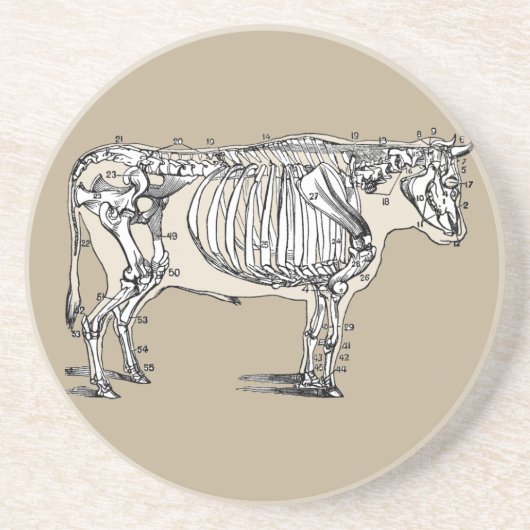 Antiker Kuh Skeleton Knochen Spaß Sandstein Untersetzer (Vorne)