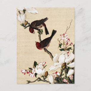 Antiker Kunstdruck Weiße Magnolie und Vögel Postkarte