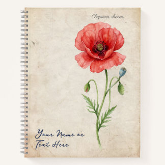 Antiker Mohn Papaver rhoeas aus der Renaissance Notizblock