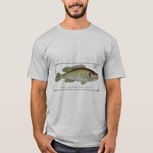 Antiker Naturhistorischer Fisch Nr. 1 T-Shirt