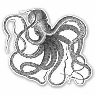Antiker Oktopus Schwimmen Aufkleber