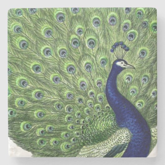 Antiker Pfau Steinuntersetzer (Vorderseite)