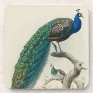 Antiker Pfau Untersetzer