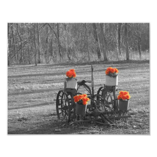 Antiker Pflug Fotodruck (Vorne)