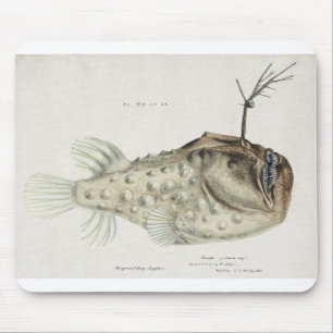 Antiker Prickly Seeteufel gezeichnet von Fe. Clark Mousepad