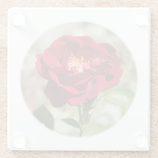 Antiker Rose Untersetzer (Rückseite)