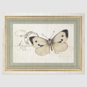 Antiker Schmetterling Goldrahmen Französischer Pos Seidenpapier
