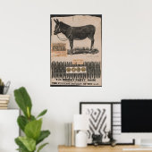 Antiker Schwanz auf dem Donkey Poster (Heimbüro)