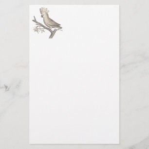 Antiker Stich eines Cockatoo Histoire Naturelle Briefpapier