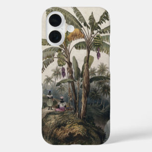 Antiker Tropischer Bananenbaumwald   Vintage Bota iPhone 16 Hülle