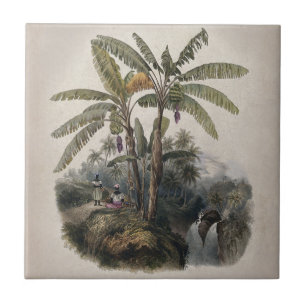 Antiker Tropischer Bananenbaumwald   Vintage Bota Fliese