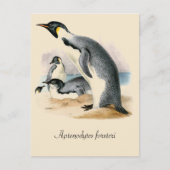 Antiker Vintager zeichnend Kaiser Pinguin Postkarte (Vorderseite)
