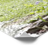 Antiker Wagen Poster (Ecke)