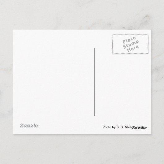 Antiker Wagen Postkarte (Rückseite)