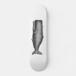 Antiker Wal Skateboard