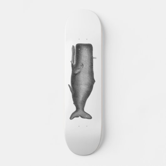 Antiker Wal Skateboard (Vorderseite)