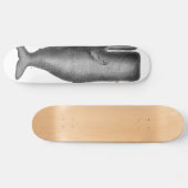 Antiker Wal Skateboard (Horizontal)