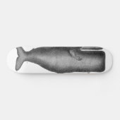 Antiker Wal Skateboard (Horizontal)