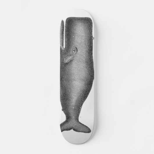 Antiker Wal Skateboard (Vorderseite)