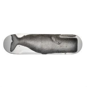 Antiker Wal Skateboard