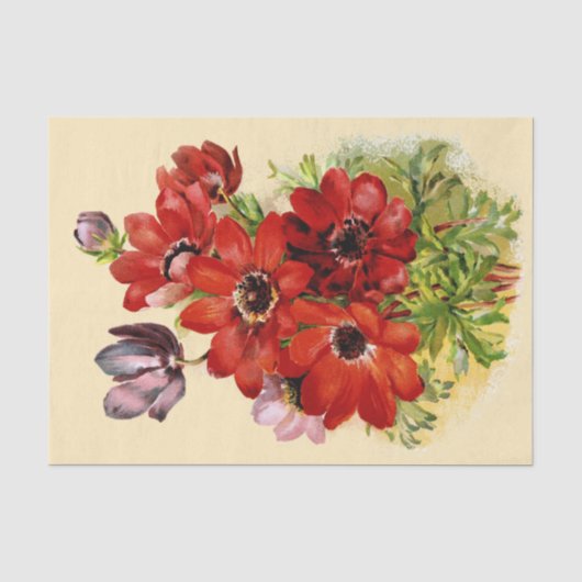 Antiker Windflower von Seidenpapier 1898 (Vorderseite)