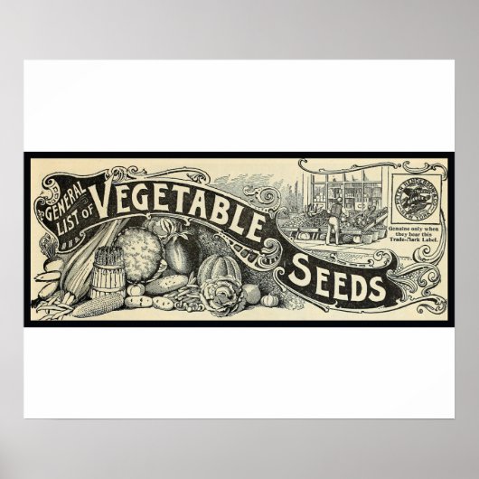 Antikes 1894 Gemüsesaatgut-Zeichen Poster (Vorne)