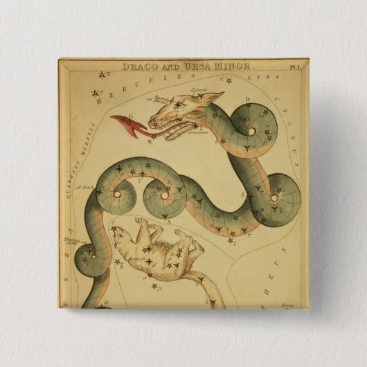 Antikes Astronomie-Poster Draco & Ursa Minor Button (Vorderseite)