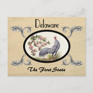 Antikes Aussehen Alte Postkarte Delaware Staat