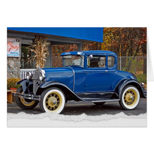 Antikes Auto mit Bichon Frise Dog (Vorderseite (Horizontal))