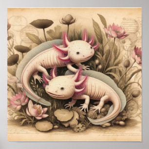 Antikes Axolotl-Plakat mit wissenschaftlicher Pfla Poster