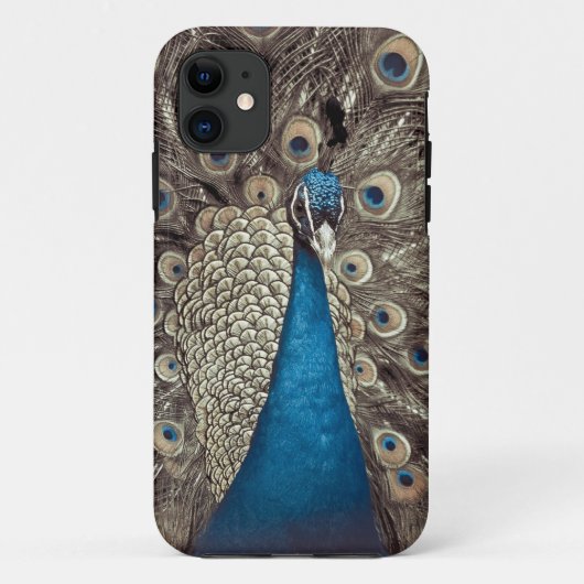 Antikes Blau Pfau Case-Mate iPhone Hülle (Rückseite)