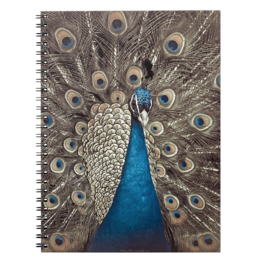 Antikes Blau Pfau Notizblock (Vorderseite)