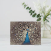 Antikes Blau Pfau Postkarte (Stehend Vorderseite)