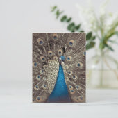 Antikes Blau Pfau Postkarte (Stehend Vorderseite)