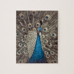 Antikes Blau Pfau Puzzle