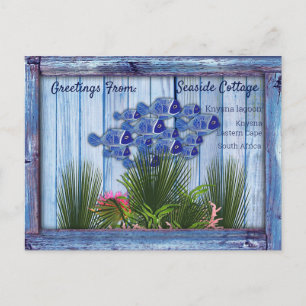 Antikes Blauholz, Fisch, Rosa-Koralle Postkarte