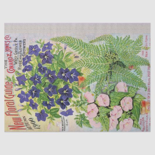 Antikes Blumen-Katalog-Seidenpapier 17x23 Seidenpapier (Vorderseite)