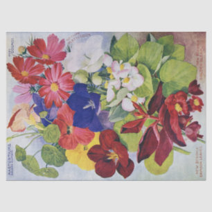 Antikes Blumen-Samen-Katalog-Seidenpapier 17x23 Seidenpapier