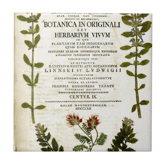 Antikes Botanik-Buchzeichen Fliese (Vorderseite)