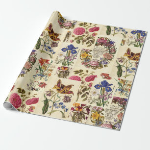 Antikes botanisches Gewebe für Decoupage Geschenkpapier