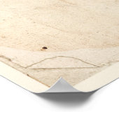 Antikes Botanisches Plakat Chrysanthemum (Ecke)