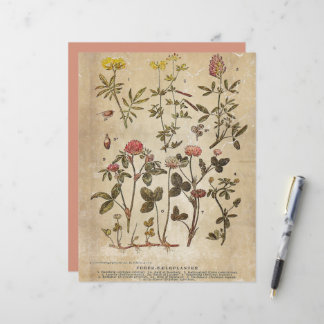 Antikes botanisches Scrapbook-Papier
