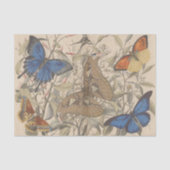 Antikes botanisches Vintages Moth-Butterfly-Dekoup Seidenpapier (Vorderseite)