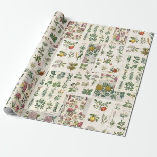 Antikes botanisches Wrap für Decoupage oder Gesche Geschenkpapier