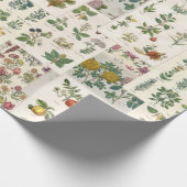 Antikes botanisches Wrap für Decoupage oder Gesche Geschenkpapier (Ecke)