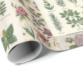 Antikes botanisches Wrap für Decoupage oder Gesche Geschenkpapier (Rolleneckpunkt)