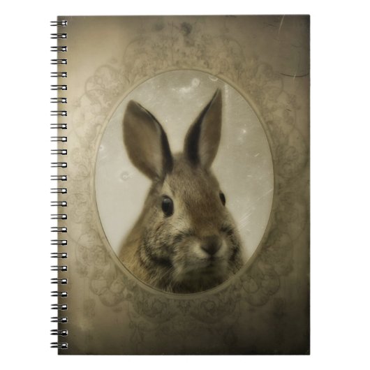 Antikes Bunny Portrait Notizblock (Vorderseite)