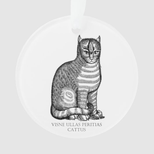 Antikes Cat Ornament (Vorderseite)