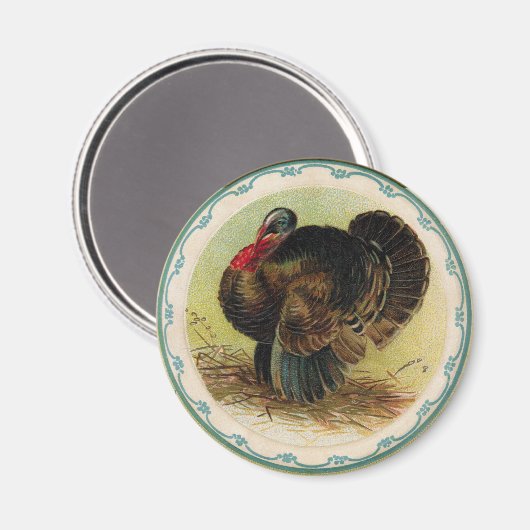 Antikes Clapsaddle Türkei Magnet (Vorderseite/Rückseite)